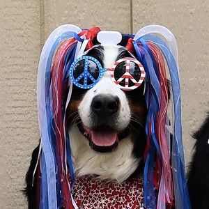 Meet your Posher, Rich